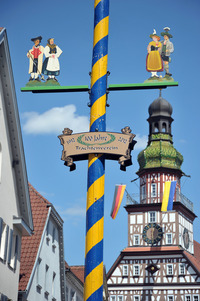 24910 1 articledetail 5539882616e8e